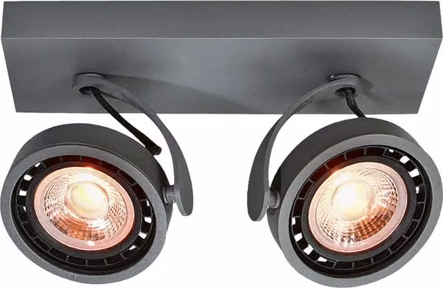 CGC Wally Double Surface Mounted Adjustable Spotlight in Grey