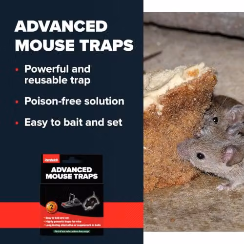 Rentokil RKLFM63 Advanced Mouse Trap, Pack of 2, Blue and Black – 3