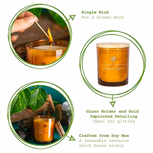 Nicola Spring Sandalwood & Jasmine Scented Soy Wax Candle, 130g, Orange – 3