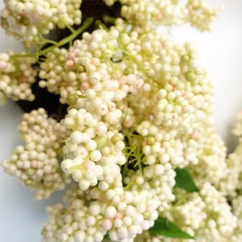 Leaf Artificial Hanging White Berries Wreath in Green, Diameter: 55 cm – 2