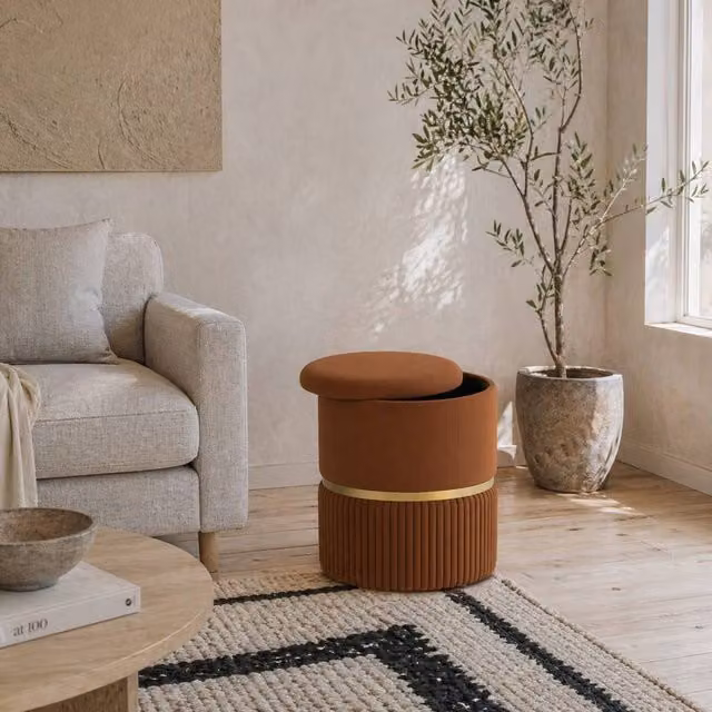 Wyld Haus Rapa Storage Ottoman in Brown Velvet with Gold Detail