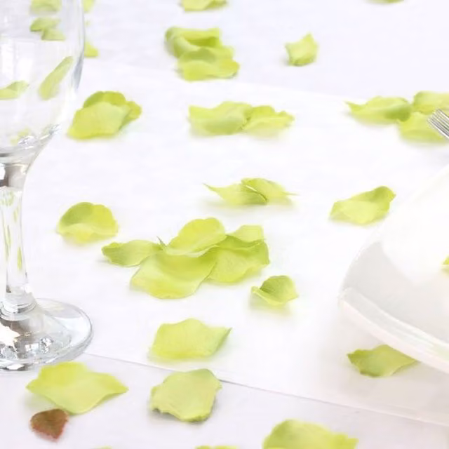 Kingsbury Gifts Silk Rose Petal Table Confetti in Green