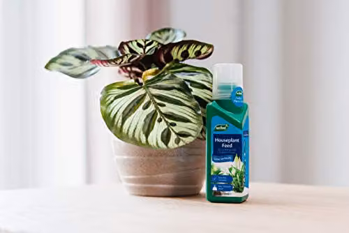 Westland Liquid Houseplant Feed Concentrate, 200 ml – 3