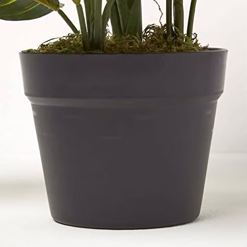 Homescapes Green Artificial Dieffenbachia Dumb Cane Plant in a Black Pot, Height: 50 cm – 2