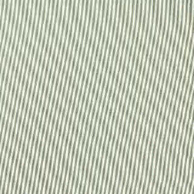 Clarke & Clarke Breton Fabric in Green