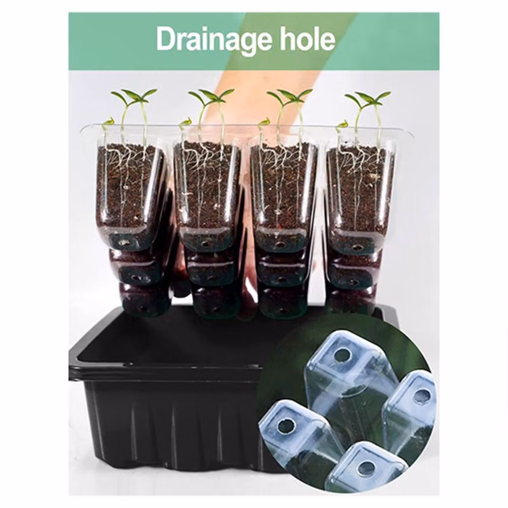 Dragodirect 6 Pack Seed Tray Propagator Set with Transparent Lids in Green – 4