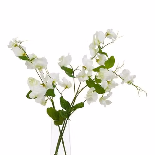 Hill Interiors Natural Garden Collection Sweetpea Artificial Flower, White