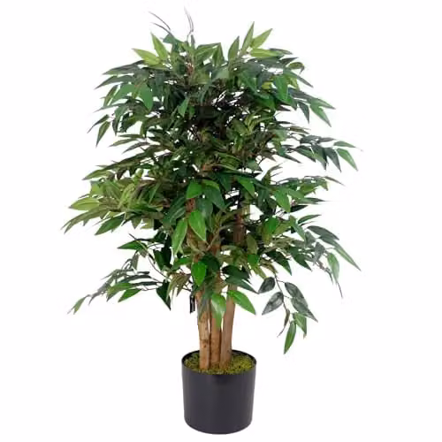 Botanik Green Artificial Office Tree with Wood and Plastic Stand, Height: 90 cm