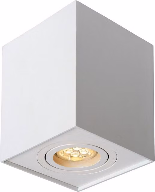 Lucide Tube Modern Surface Mounted Ceiling Spotlight in White
