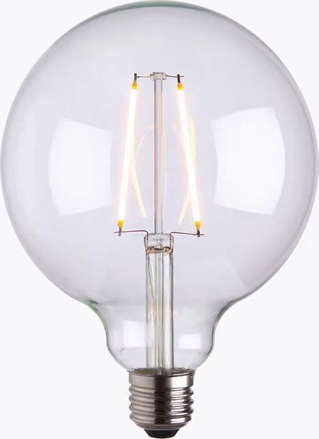 Perch & Parrow Ana Vintage LED Globe Shaped Bulb with Transparent Glass