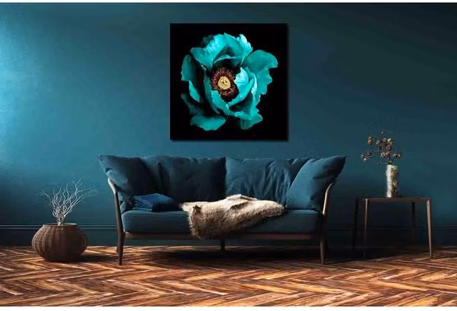 Benjamin Tate Design LTD Winter Floral Surreal Peony Flower Macro Canvas Print in Petrol, W/H: 46 x 46 cm