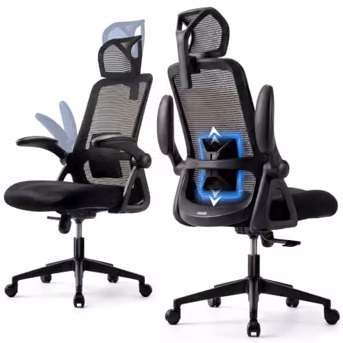 Realm of Thrones Black Mesh Ergonomic Office Chair with Headrest and Weight Adjustment – 1