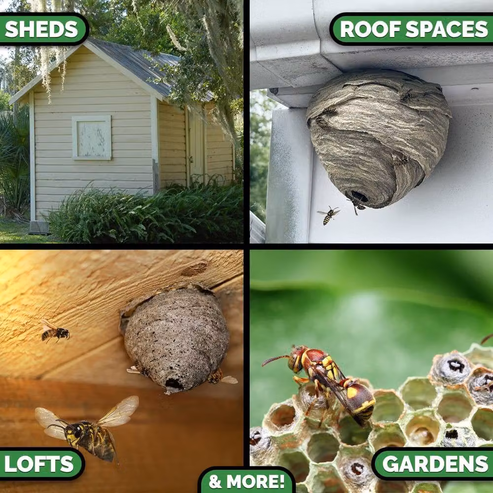 Xterminate Wasp Nest Killer Spray Foam, 4 Pack, White – 4