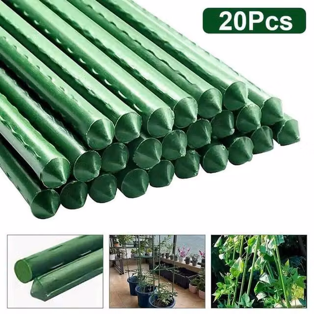 SPETLEK 20 Pack Green Garden Plant Stakes, 60 cm Height