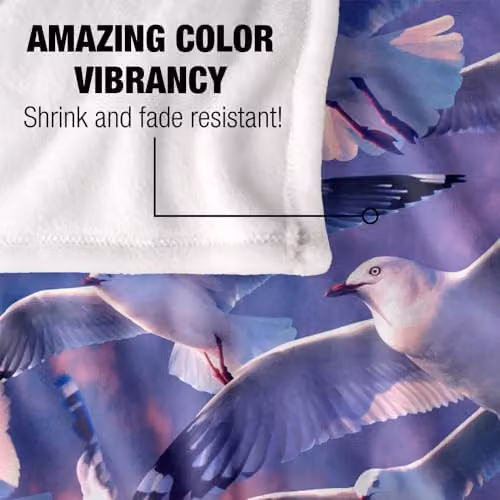 JQ Licensing Royce Mcclure Evening Seagulls Super Soft Fleece Throw Blanket, White, W/D/H: 152 x 127 cm – 3
