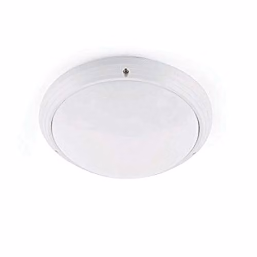 Netlighting Dakron White Outdoor Ceiling Light IP65 E27