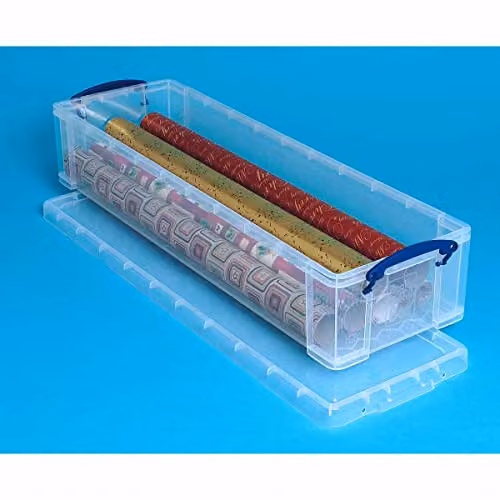 Really Useful Box 22 Litre Plastic Storage Box in Transparent with Lid and Handles – 3