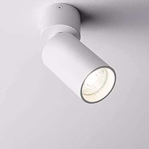 CGC Lighting Willow White Cylinder Adjustable Surface Mount Spotlight