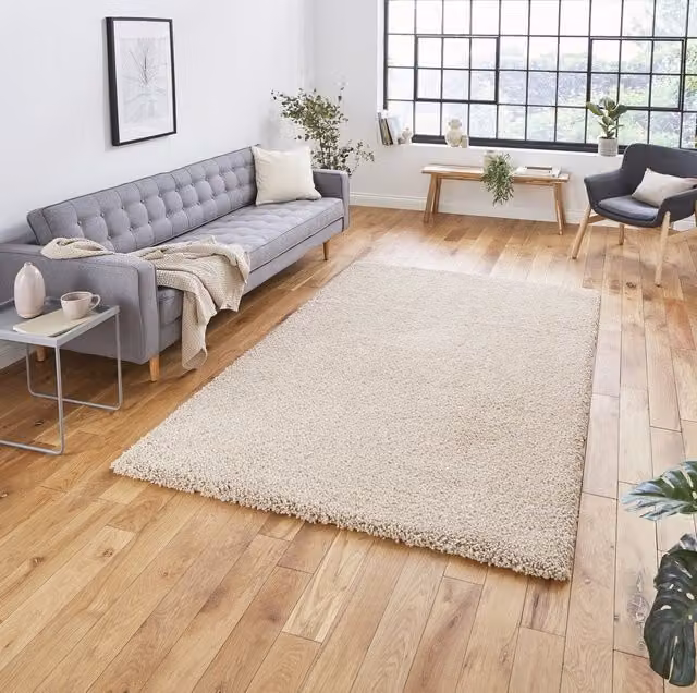 Terrys Modern Plain Rectangular Shaggy Rug in Beige, Stain Resistant Polypropylene