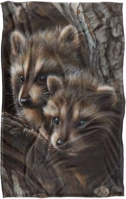 JQ Licensing Two Raccons Silky Touch Super Soft Fleece Throw Blanket, Brown and Multicolour, W/D/H: 91 x 147 cm – 5