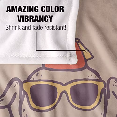 Warner Bros. Friends The Turkey Love Silky Touch Super Soft Fleece Throw Blanket, W/D/H: 91 x 147 cm, Beige/Multicolour – 2