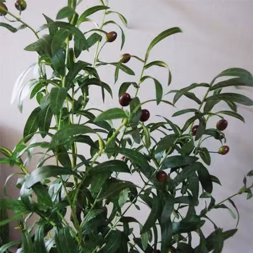 Leaf Artificial Olive Tree in Green, Height: 120 cm – 2