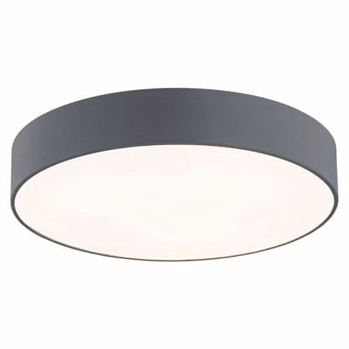 Netlighting Darling Modern Flush Ceiling Light in Grey with 2 x E27 Bulbs, Diameter: 35 cm