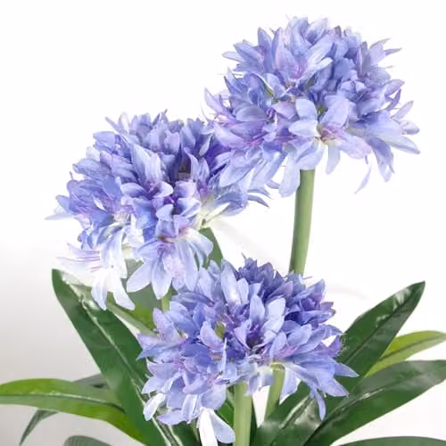 Leaf Premium Artificial Blue Agapanthus with Pot, Height: 90 cm – 3