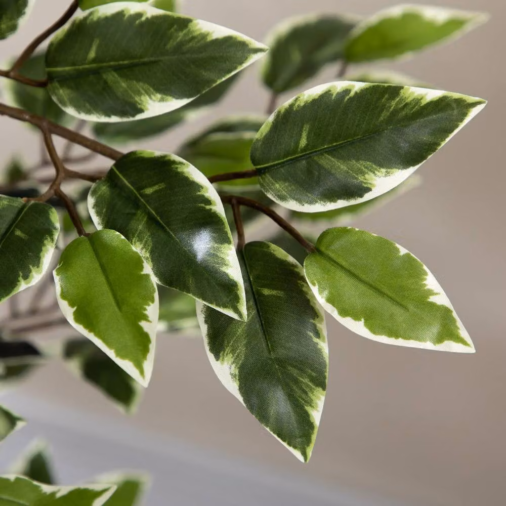 Wyld Haus Nedori 130cm Artificial Ficus Tree with Realistic Leaves in a Weighted Green Pot – 6
