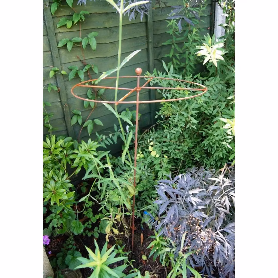 Poppyforge Simple Circle Plant Support, Pack of 5, Brown, W: 40.6 cm, D: 40.6 cm, H: 81.3 cm – 2