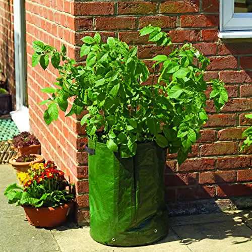 Gardman Twin Pack Potato Planter Bags in Black, White and Green – 2