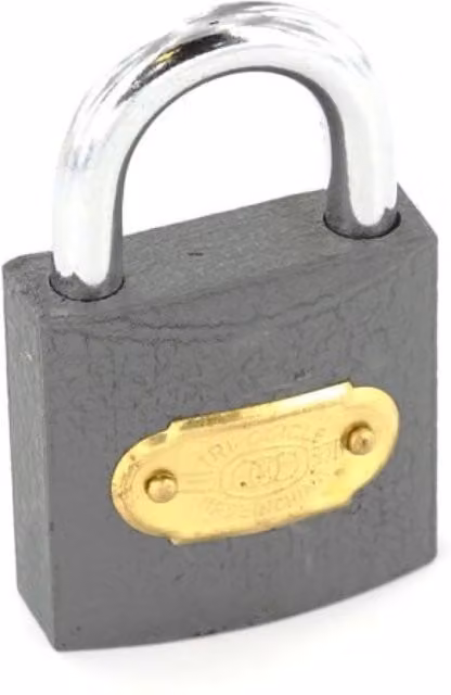 Securit Tricircle Iron Padlock with Brass Cylinder in Grey and Bronze