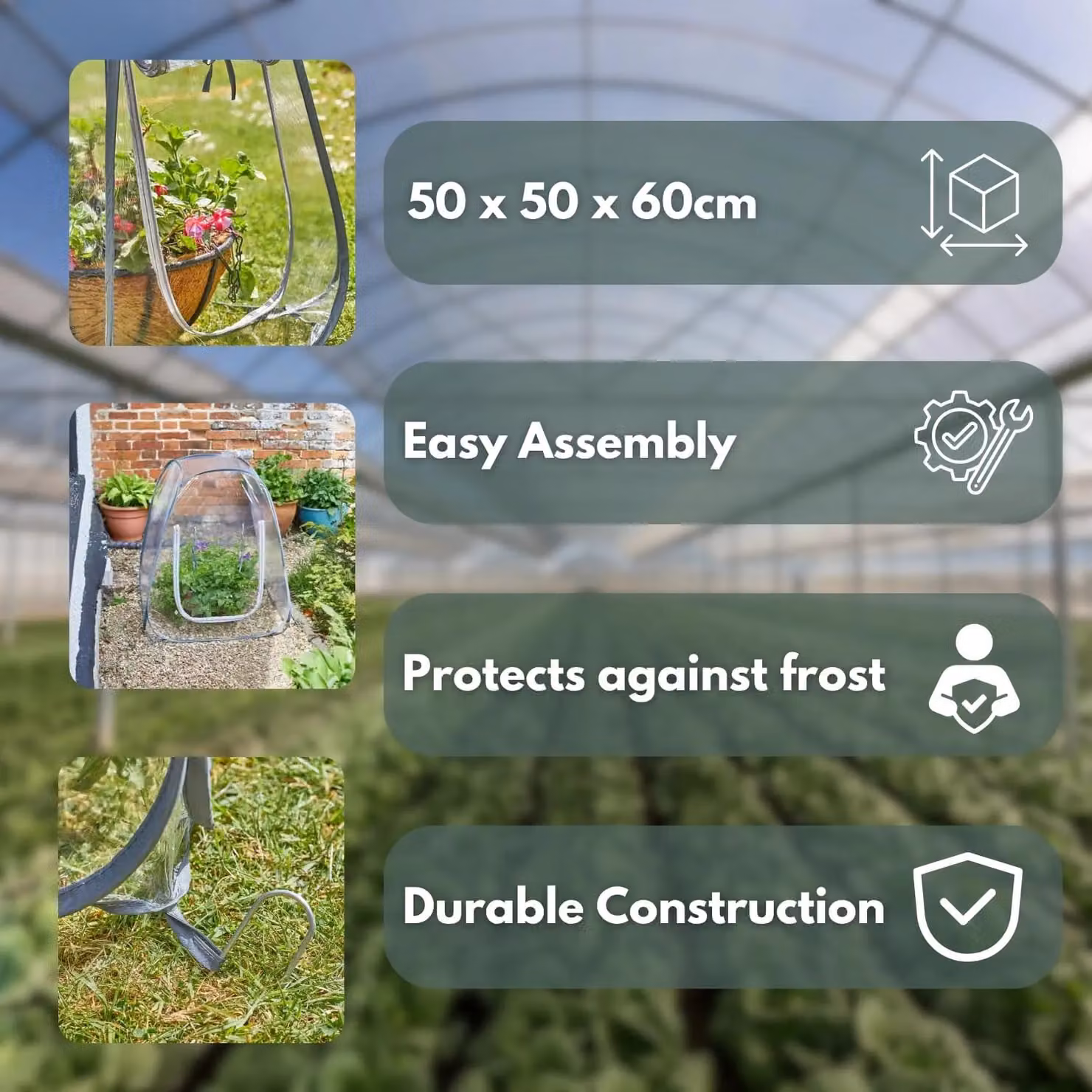 Marco Paul Transparent Pop Up Garden Greenhouse W/D/H: 50 x 50 x 60 cm – 4