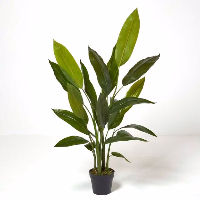 Homescapes Green Heliconia Potted Plant, Height: 140 cm