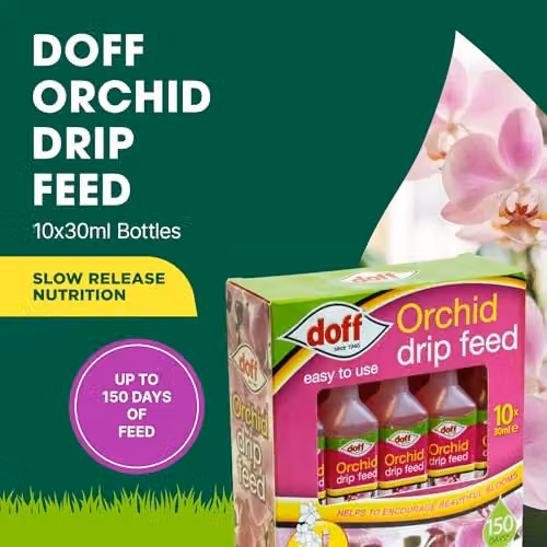 Doff Orchid Drip Feed Liquid Plant Tonic, 10 x 30 ml – 2