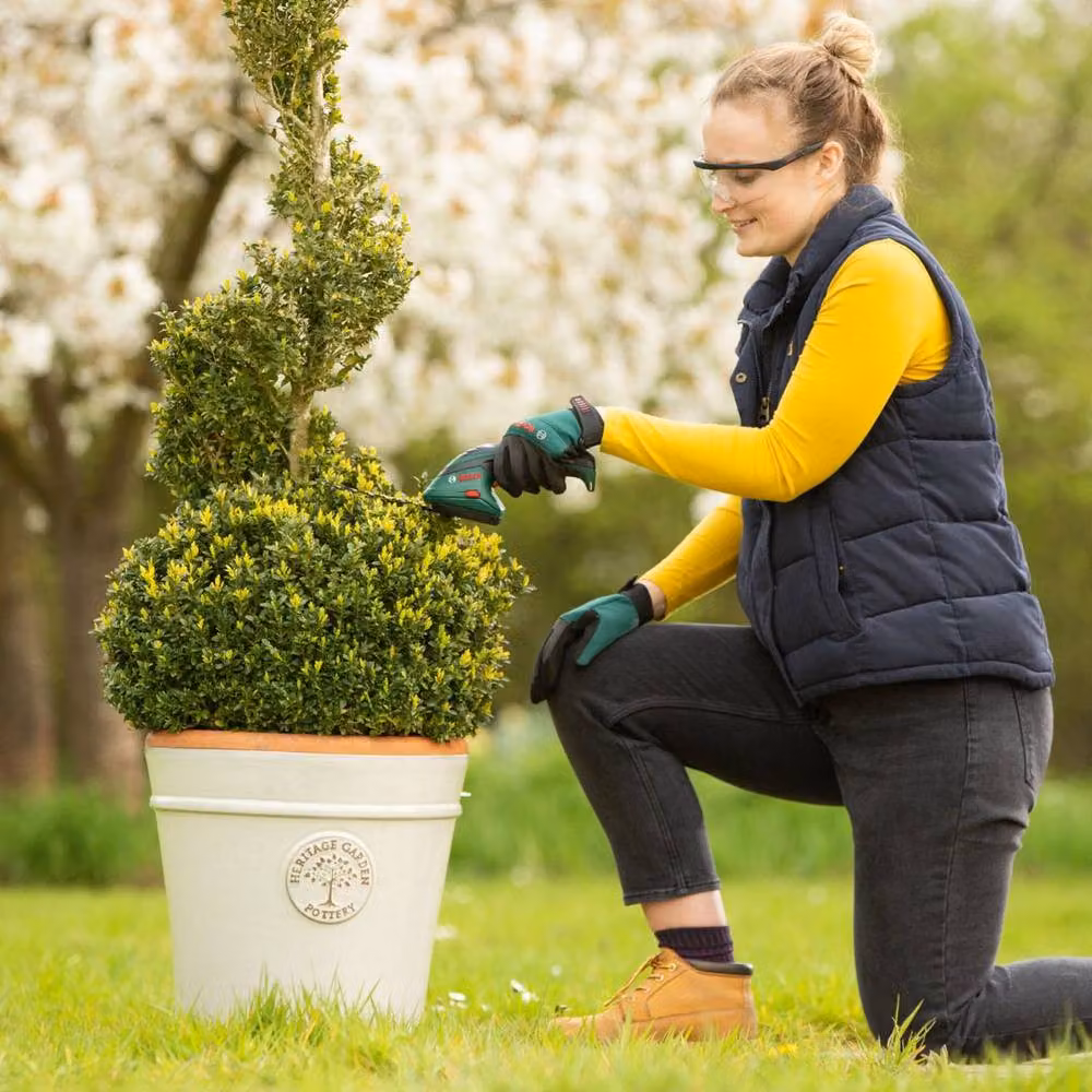 Bosch Isio 3.6V Cordless Grass and Shrub Shear, Green – 5