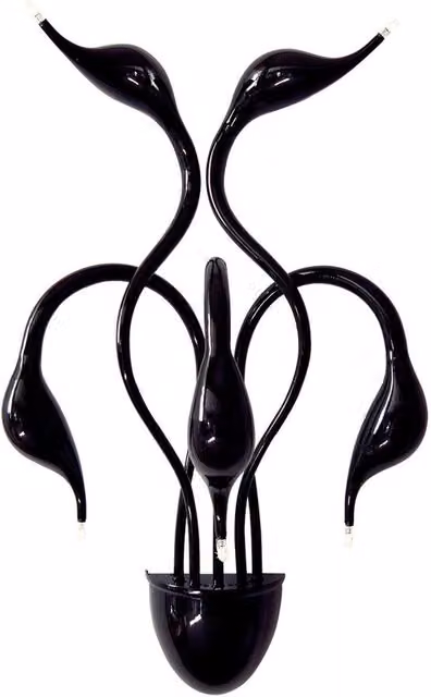 Italux Lighting Swan Modern 5 Light Wall Lamp with G4 Bulbs in Black
