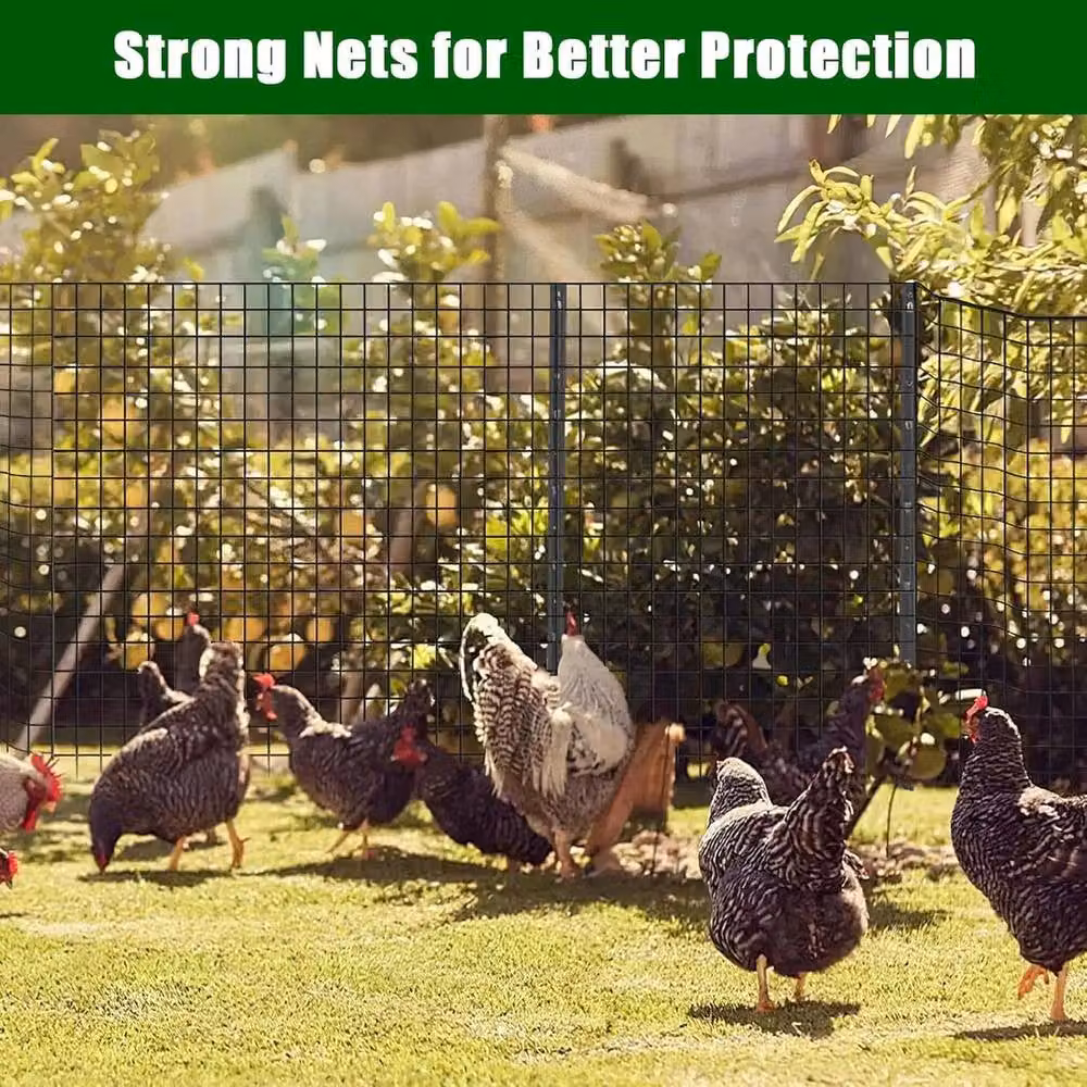 VOGREX Black Galvanised Steel Chicken Wire Mesh Fence – 4