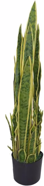 Medium Potted Artificial Sansevieria Trifasciata Indoor Plant in Yellow and Green