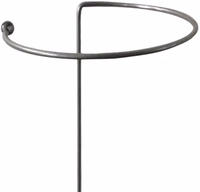Garden Pride Rusty Gathering Rings Steel Plant Support, Brown and Grey, Height: 92 cm