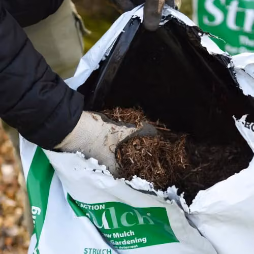Thompson and Morgan Strulch Natural Straw Garden Mulch, 20 x 100 l Bags, Brown – 4
