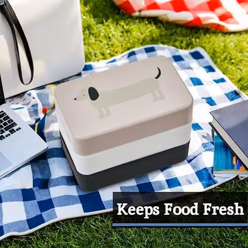 Premier Housewares Dog Lunch Box with Cutlery, Stackable Plastic Bento Box with Compartments in White or Black – 4