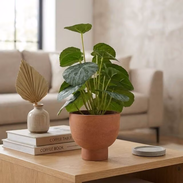 Garden Greatness Artificial Chinese Money Plant in a Green Ceramic Pot – 1