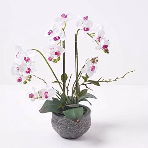 Homescapes Artificial White Orchid in Grey Concrete Pot, Height: 52 cm