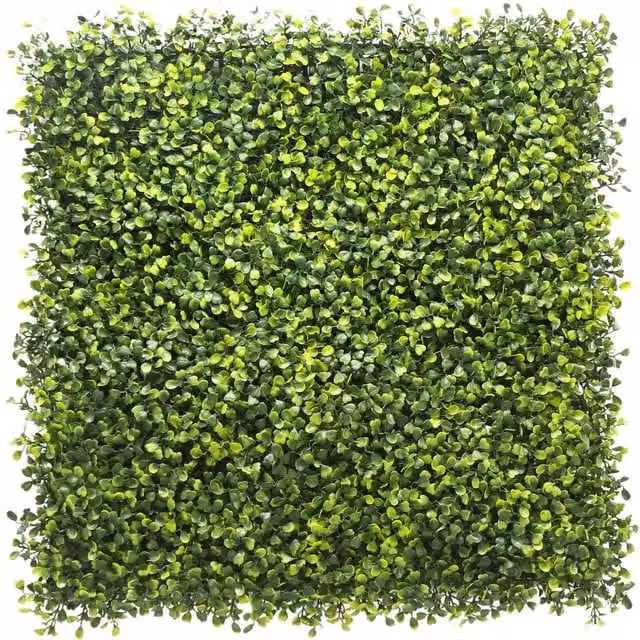 True Products Artificial Green Boxwood Wall Panel, 50 x 50 cm