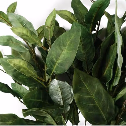 Leaf Green Artificial Ficus Foliage Stem, Height: 90 cm – 2