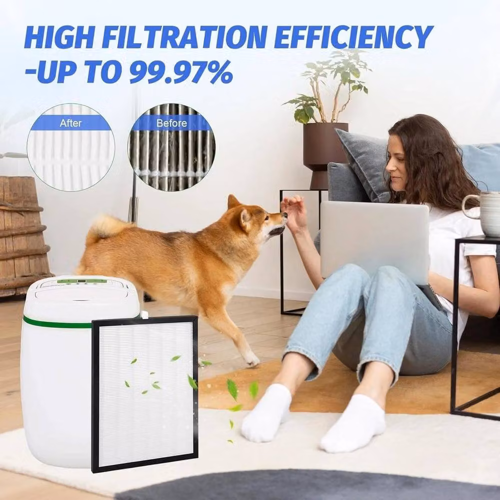 Spetlek 2x HEPA Filters in White, W/D/H: 26 x 19 x 1 cm – 4