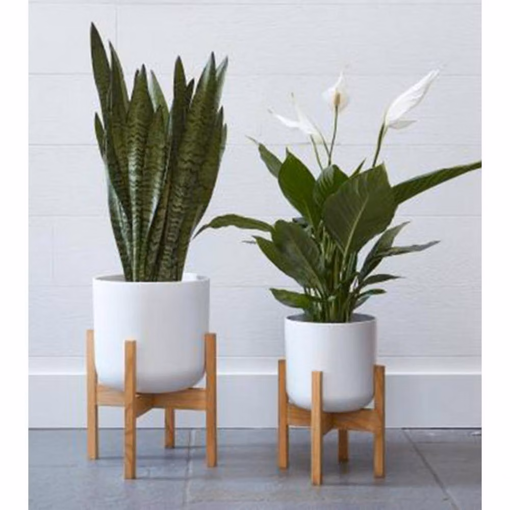 Lemon Pavilion Lisbon Pot and Stand, White Ceramic and Wood, W: 20.5 cm, D: 20.5 cm, H: 34.5 cm – 2
