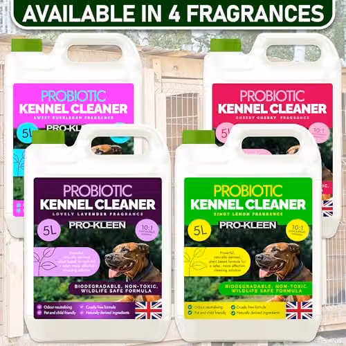 Pro-Kleen ProBiotic Kennel Cleaner Cherry 5 l – 6