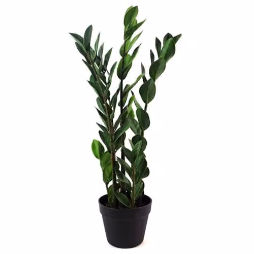 Leaf Design UK Realistic Large Artificial Zanzibar Gem Foliage Plant in Green Pot, Height: 75 cm – 1
